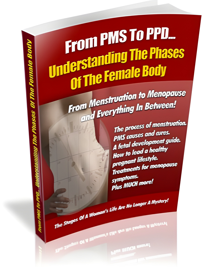 Understanding The Phases Of The Female Body